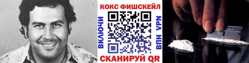 КОКАИН Fish Scale  shop формула  Ноябрьск  где можно купить  