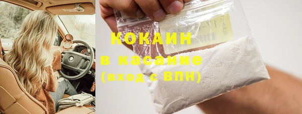 индика Алзамай