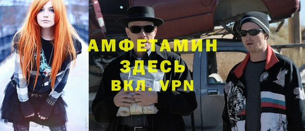 индика Алзамай