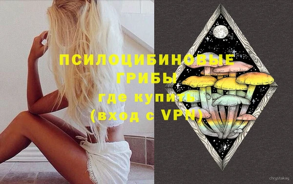 индика Алзамай