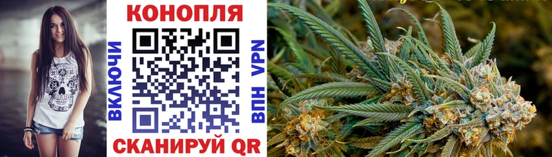 магазин продажи наркотиков  Ноябрьск  Шишки марихуана Bruce Banner 